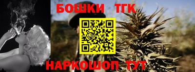 Альфа ПВП Обь